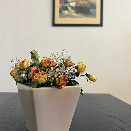 Citypulse In Ideal Center W Working Space Sofia