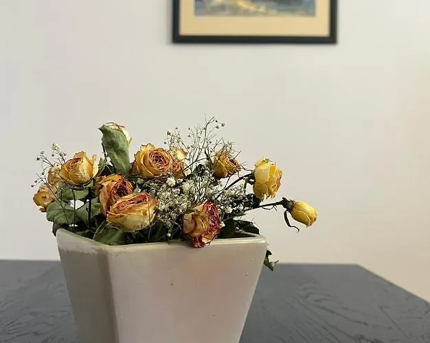 Citypulse In Ideal Center W Working Space Sofia